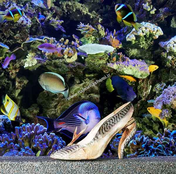 Christine Leobotin SHOE DESIGNS IN the Golden Palace Gate Aquarium
